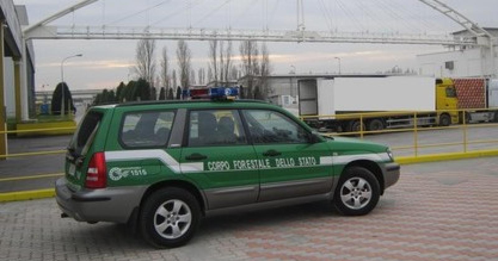 corpo forestale.JPG