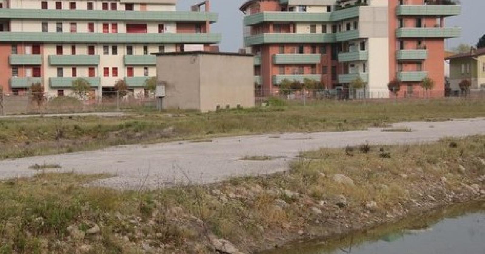 oroboni zika.JPG