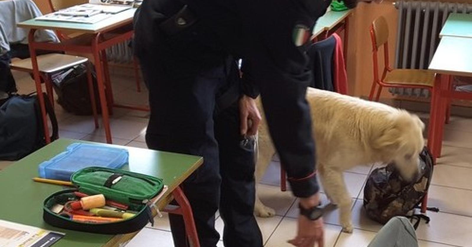 cane antidroga scuola carabinieri.jpg