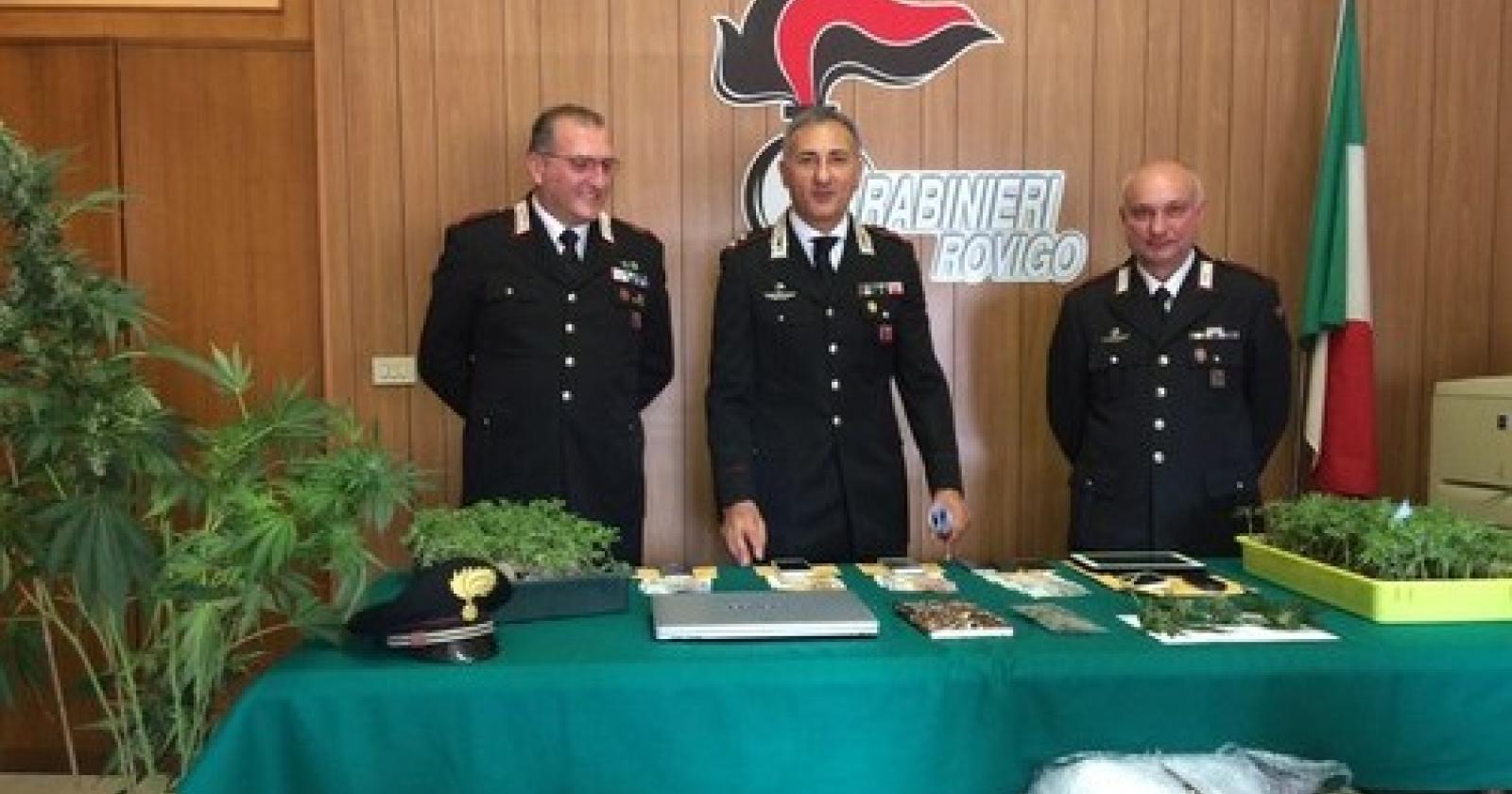 sequestro marijuana rovigo maggio 2016 (4).JPG