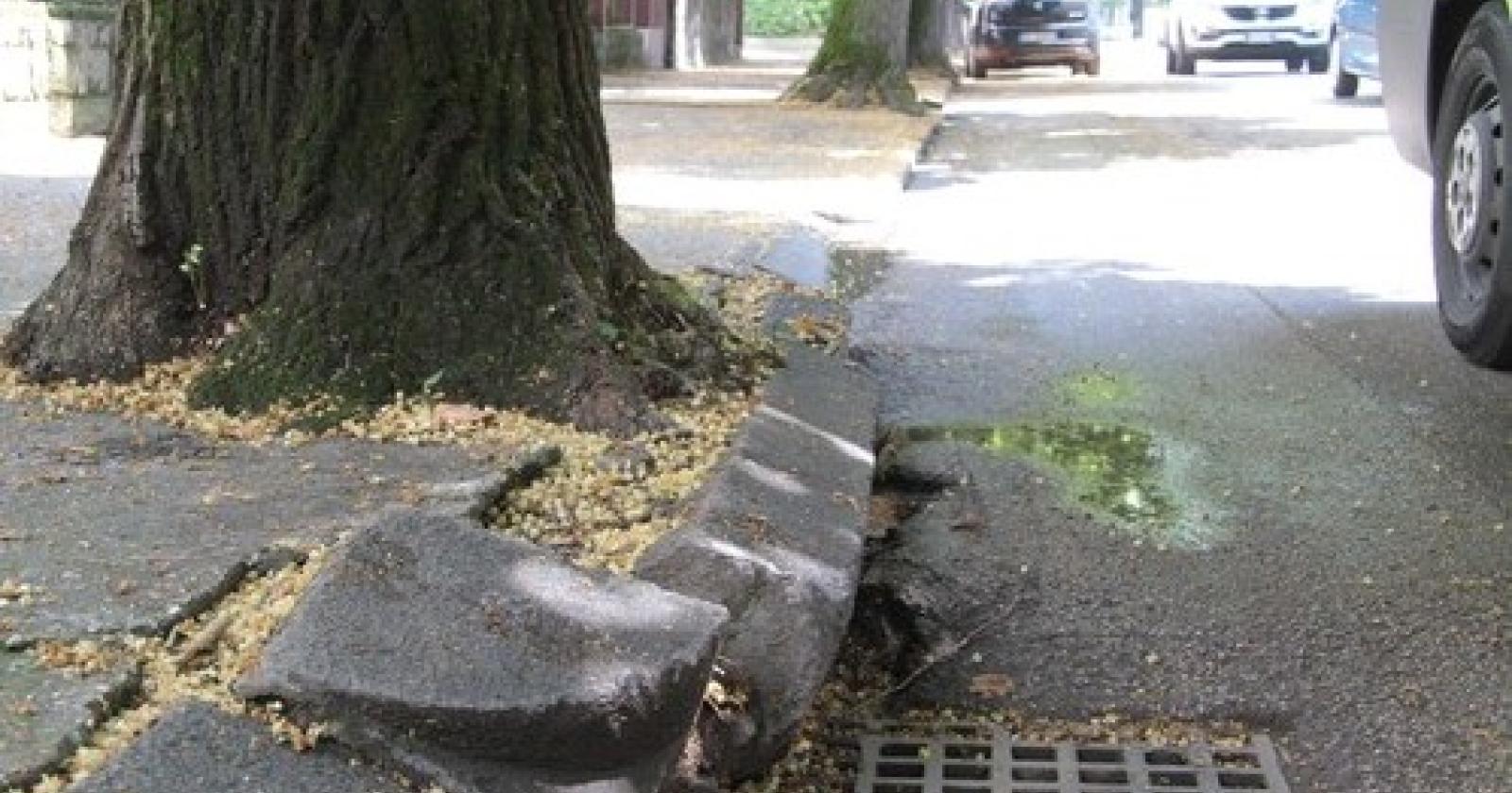 Viale Tisi da Garofolo 5.jpg