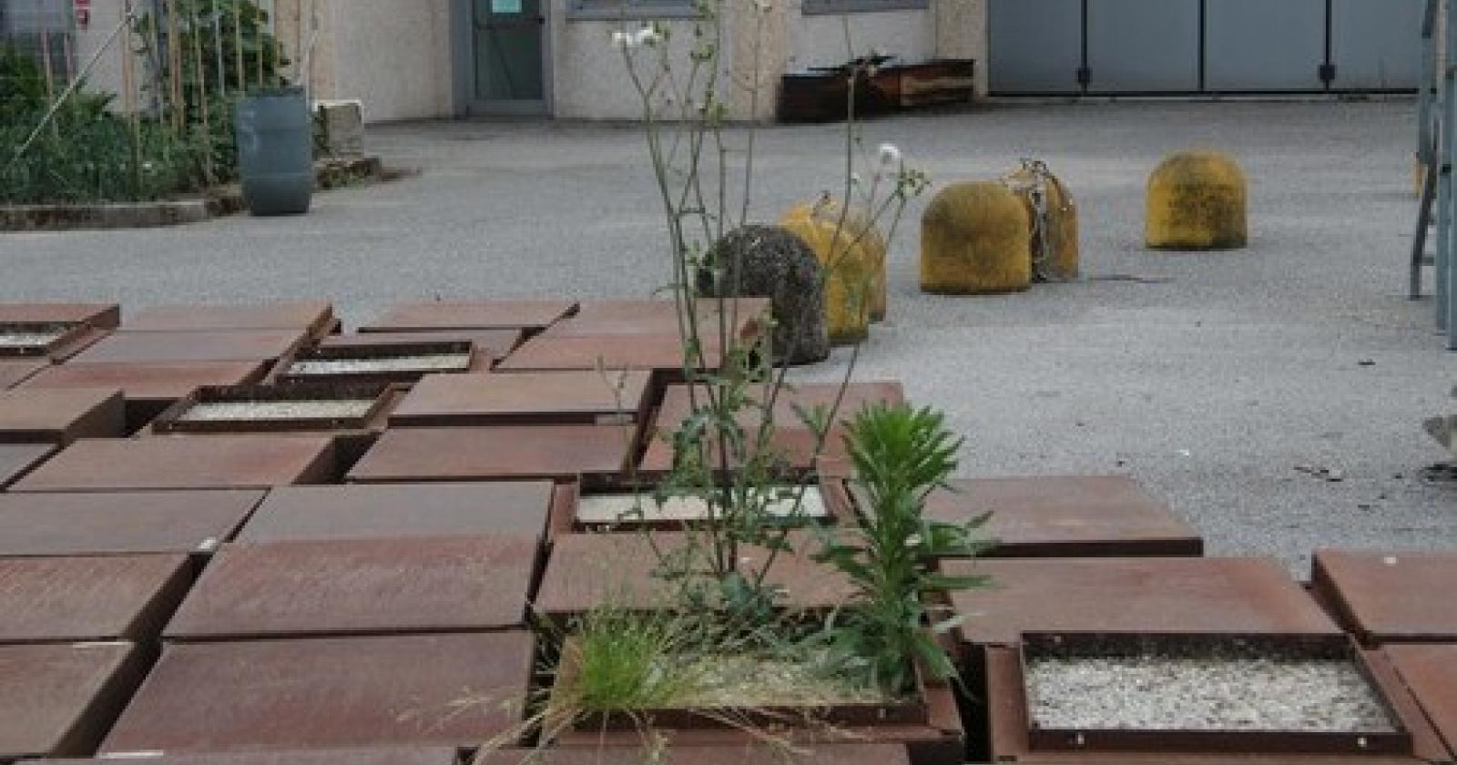 cubi rovigo1.JPG