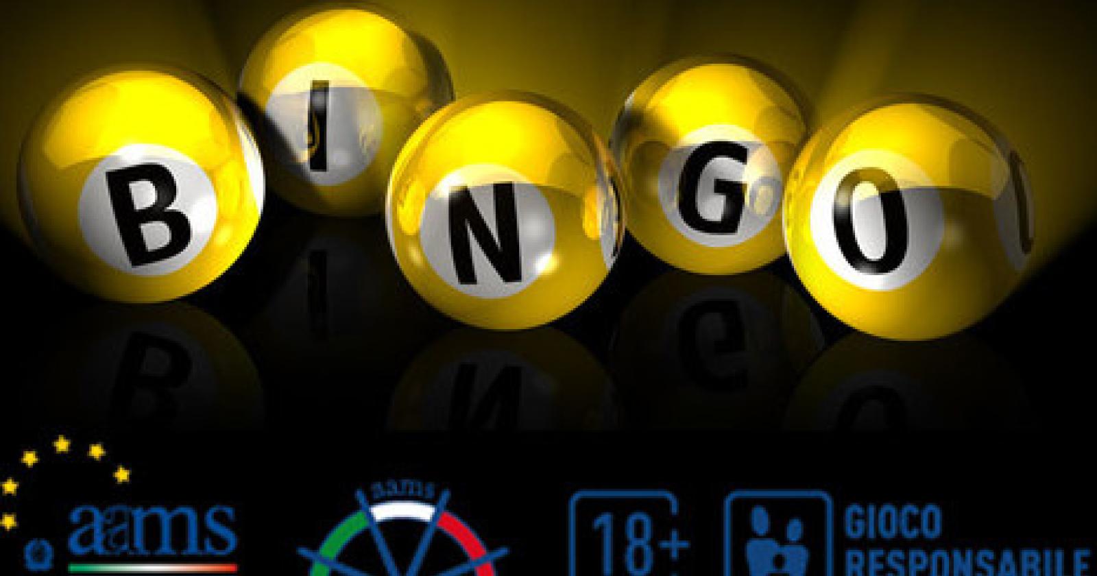 foto bingo online.jpg