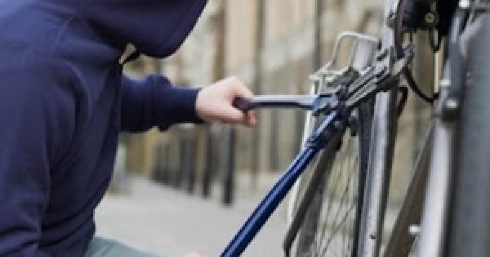 bici.JPG