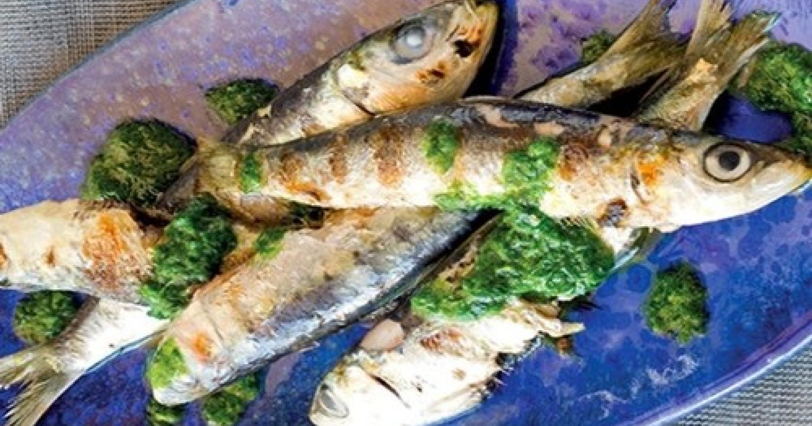 sardine[1].JPG