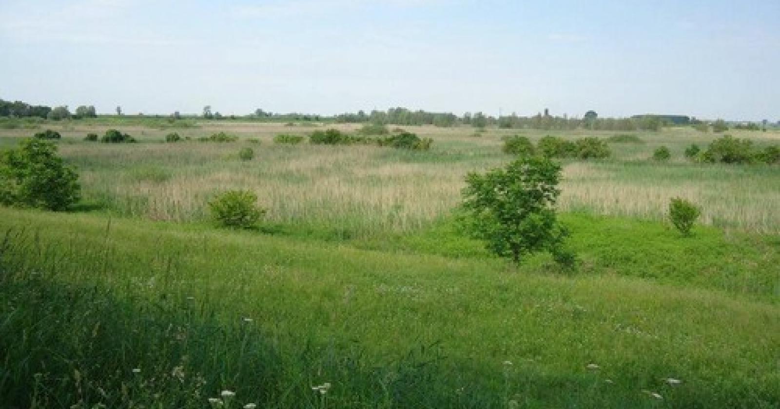 Un progetto per tutelare e rilanciare le Marice