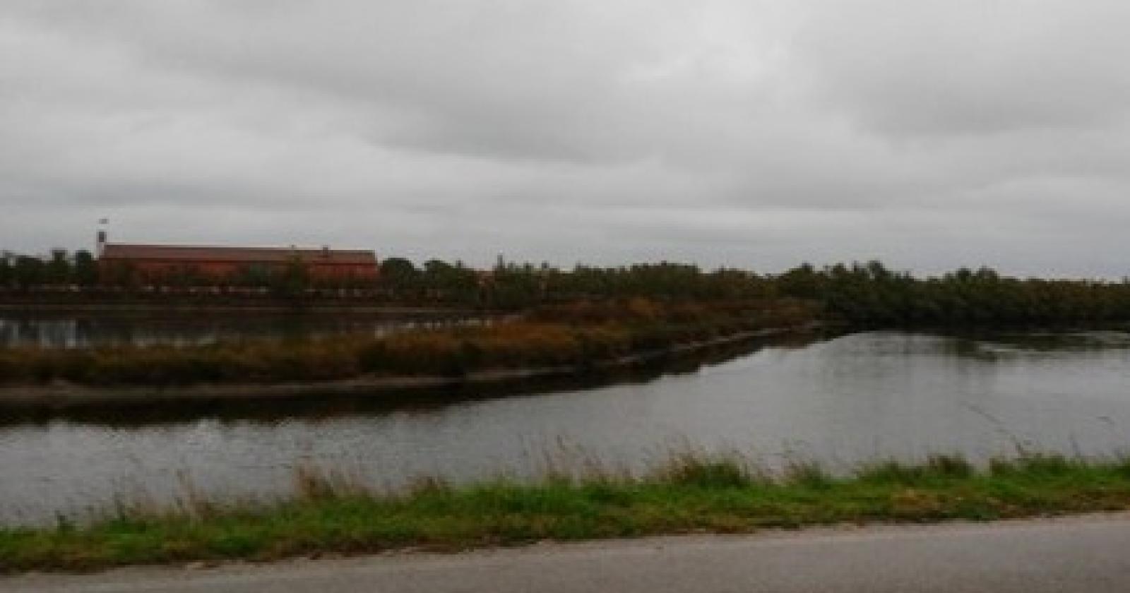 video laguna barbamarco bracconieri wwf rovigo.jpg