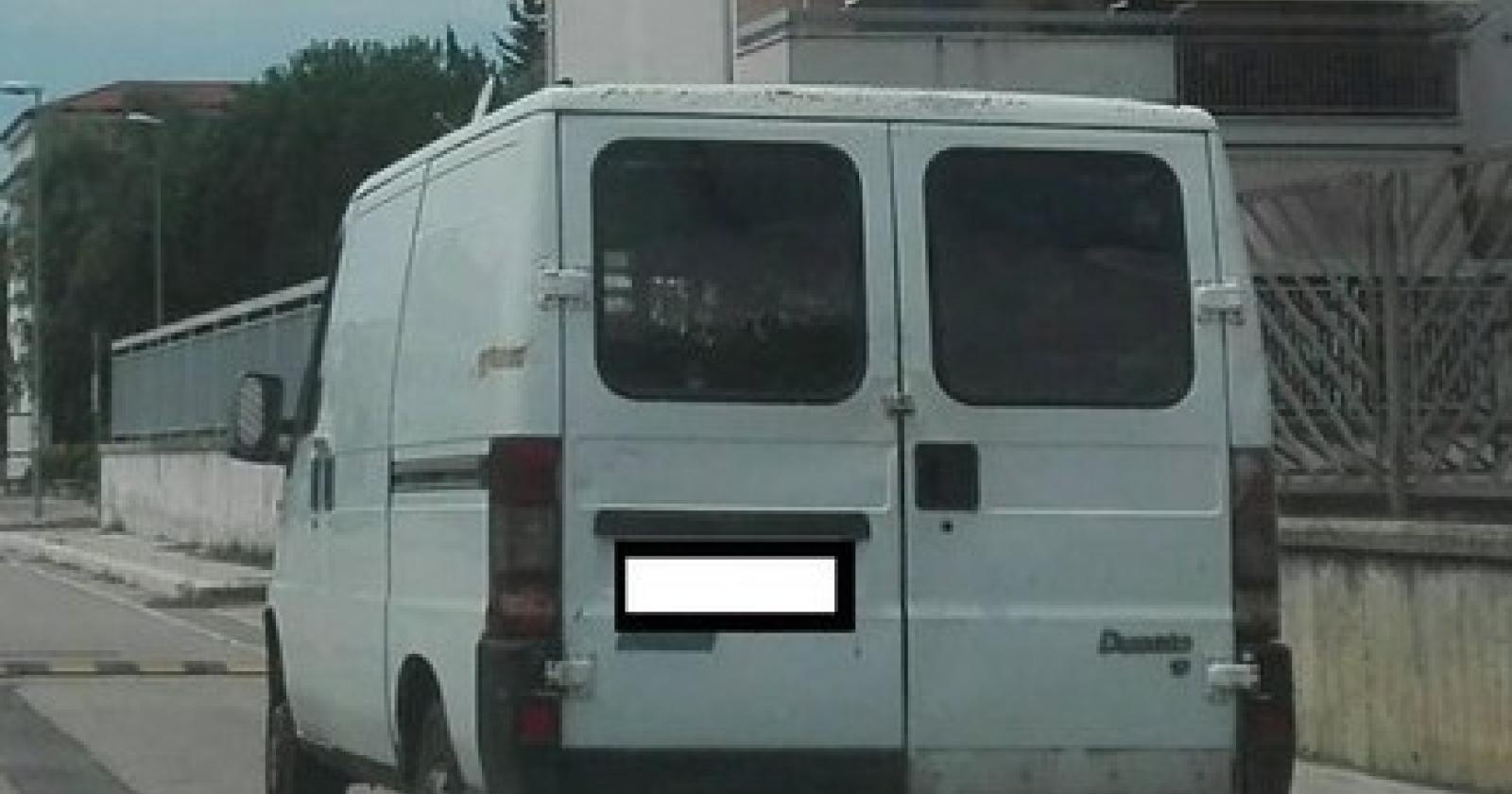 camion bianco.jpg