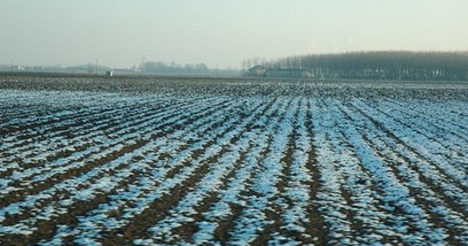 70858