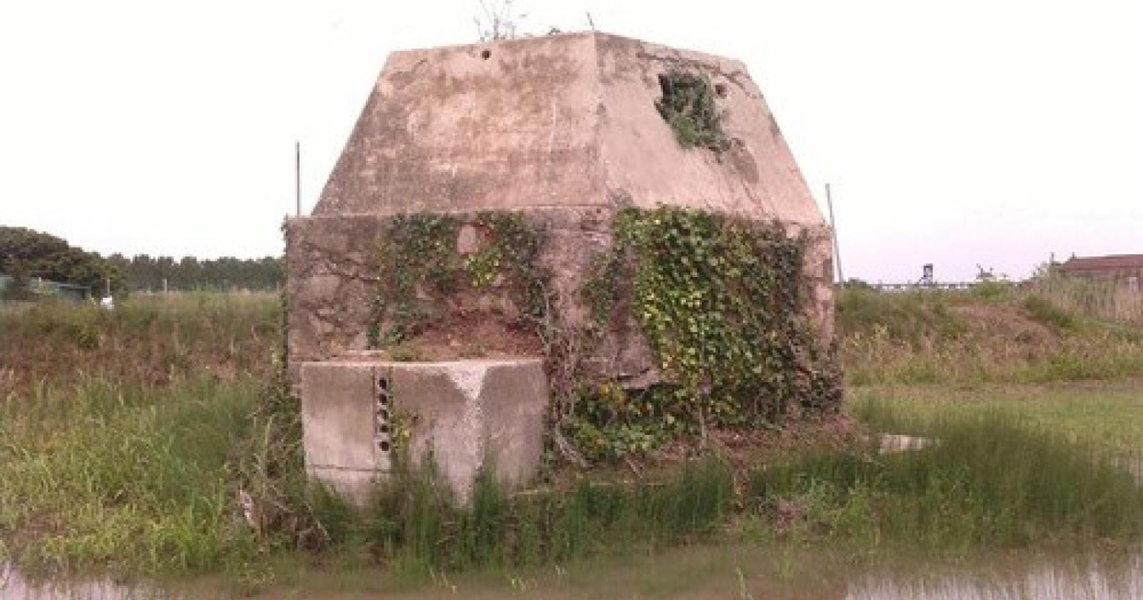 fortino guerra hitler delta del po.jpg