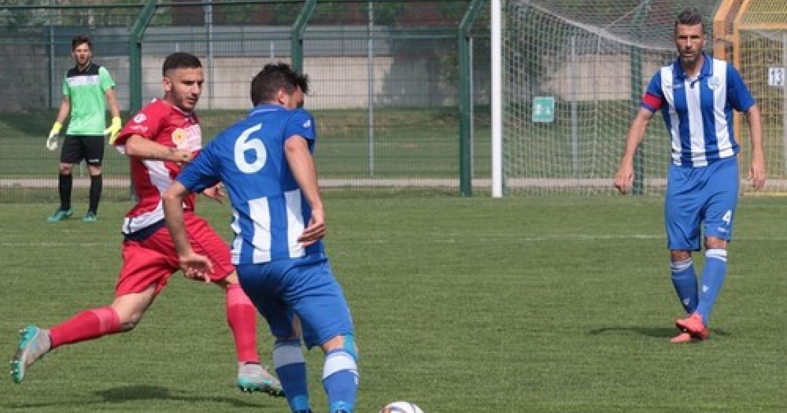 Delta Rovigo vs Virtus Castelfranco 7