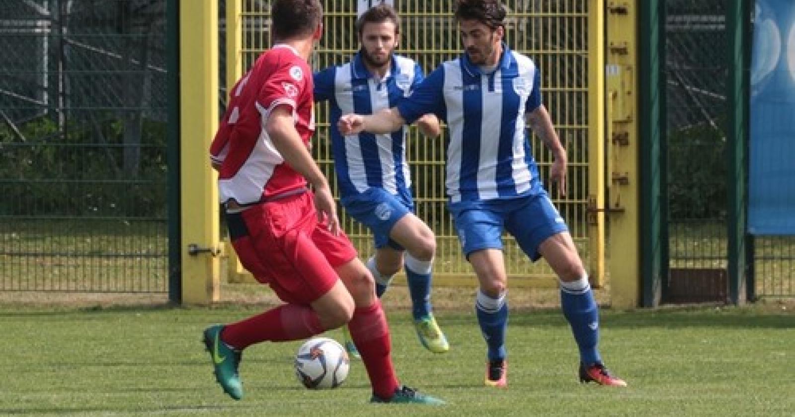 Delta Rovigo vs Virtus Castelfranco 8