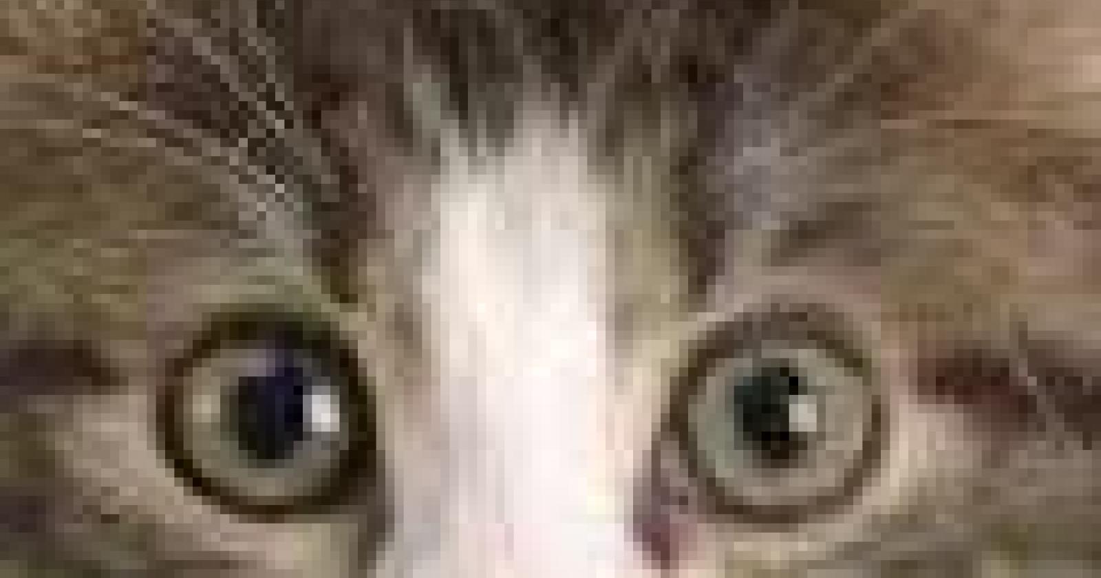 82495