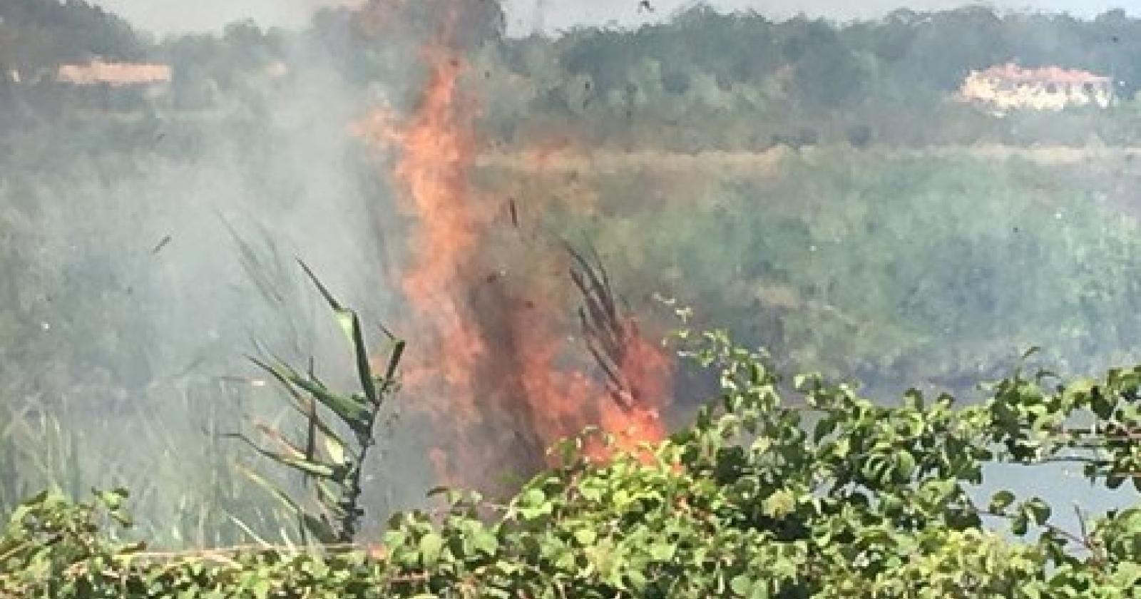 incendio adria (1).JPG