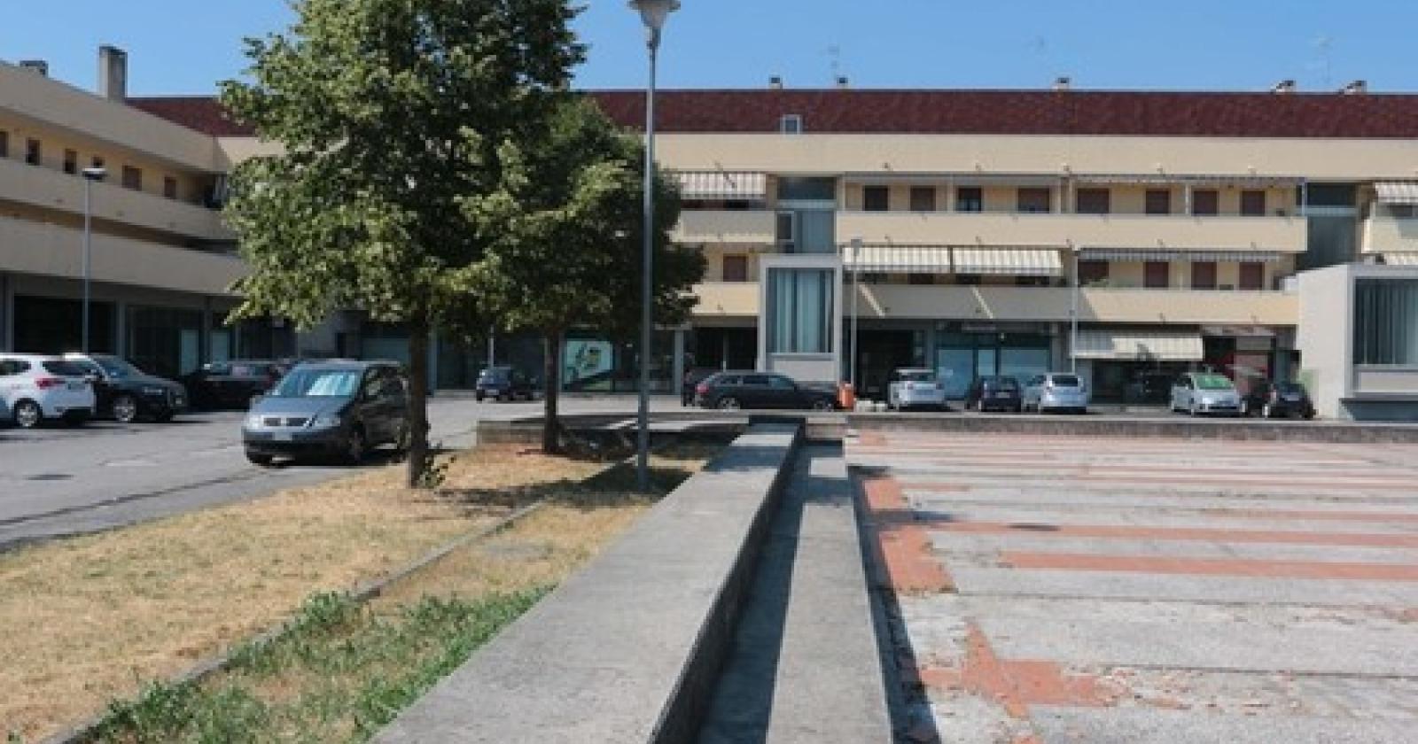 cepol 8
