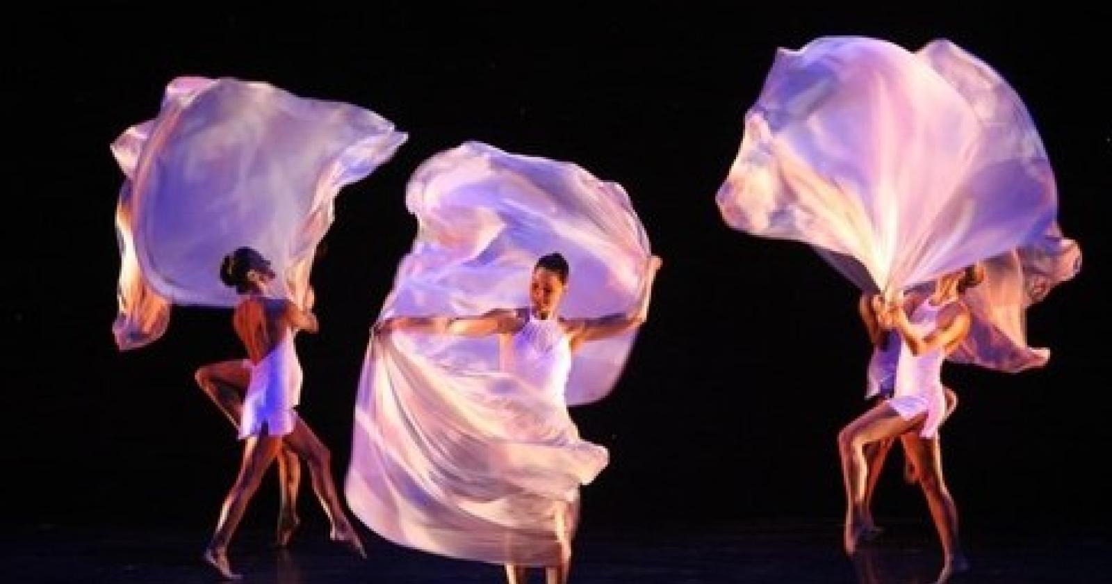 MOMIX 1.jpg