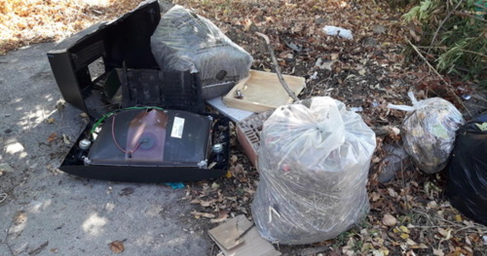 Rifiuti area ecologica Tassina (3)