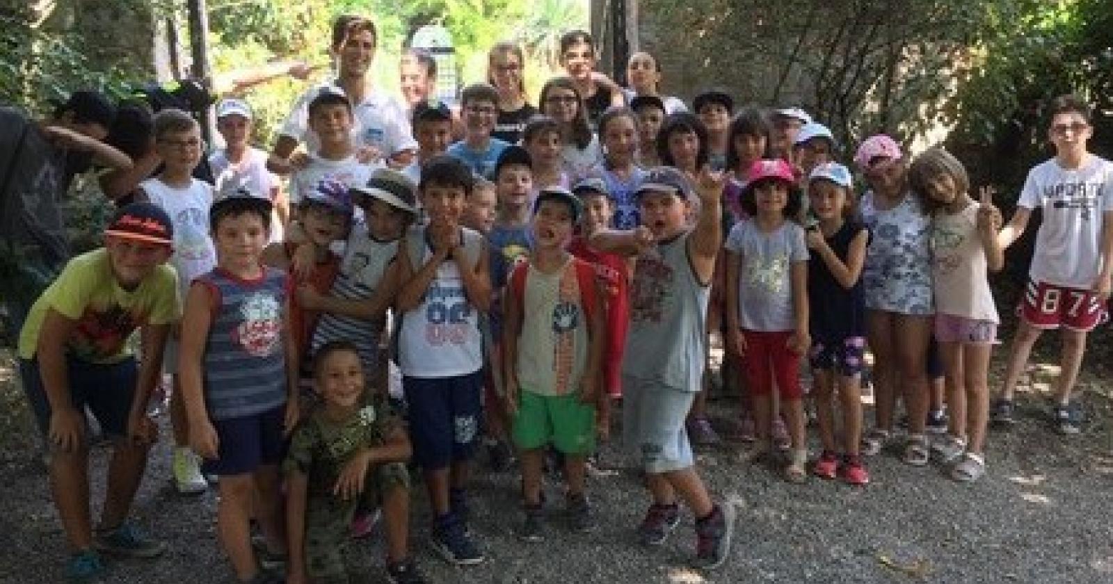 Animazione estiva Lendinara.jpg