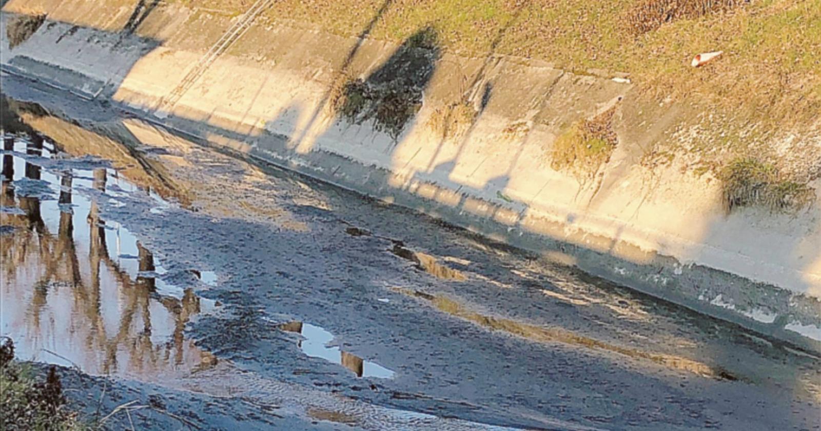 Adigetto senza acqua, preoccupazione per i pesci