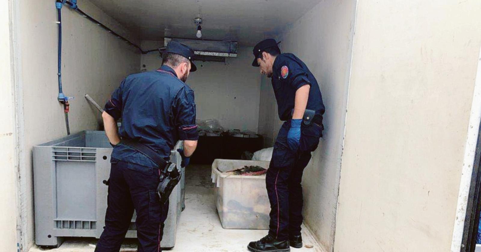Bloccati due bracconieri rumeni