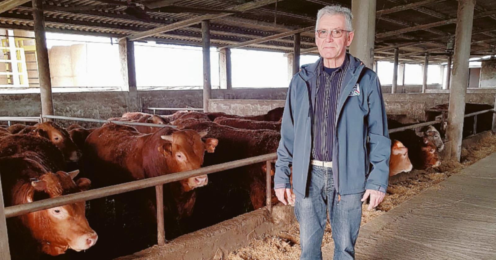 Cereali alle stelle, bollette pure: "Così è dura!"