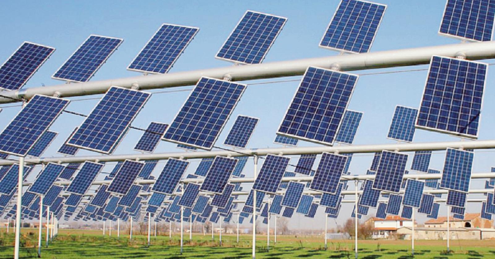 “L’agrivoltaico contro i rincari”