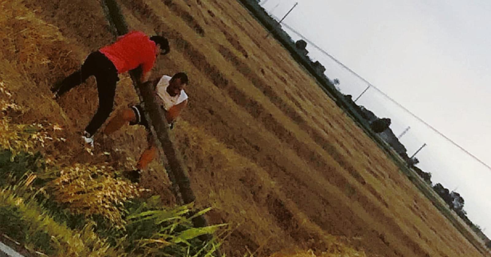 Bufera abbatte i pali, il sindaco corre a sistemarli