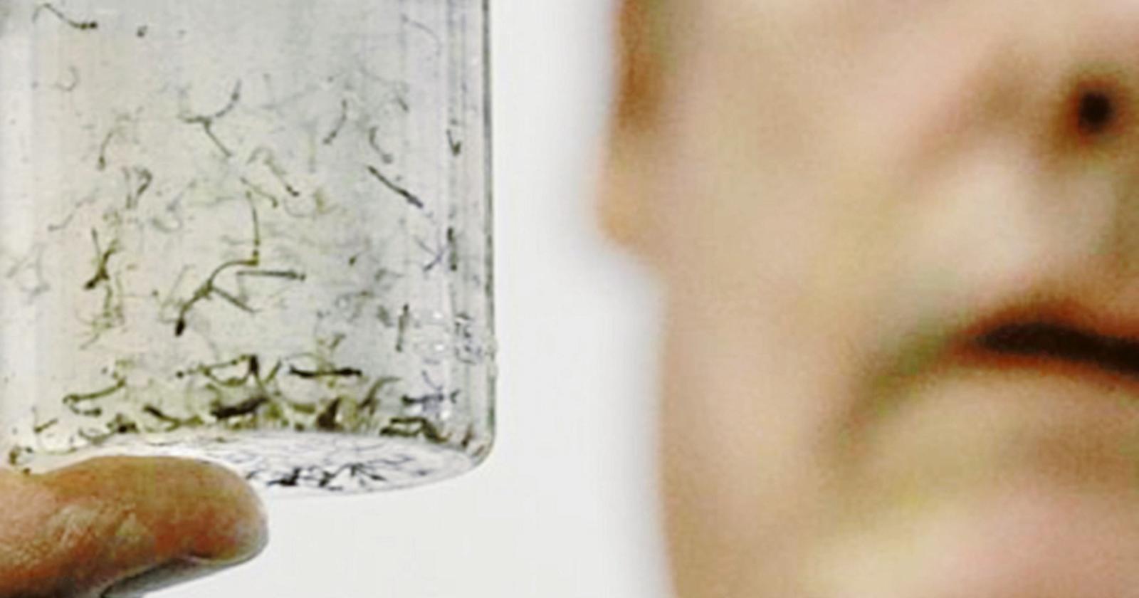 Ufficiale, il virus è di nuovo qui