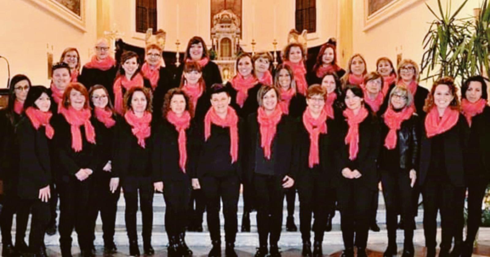I primi 35 anni del Plinius