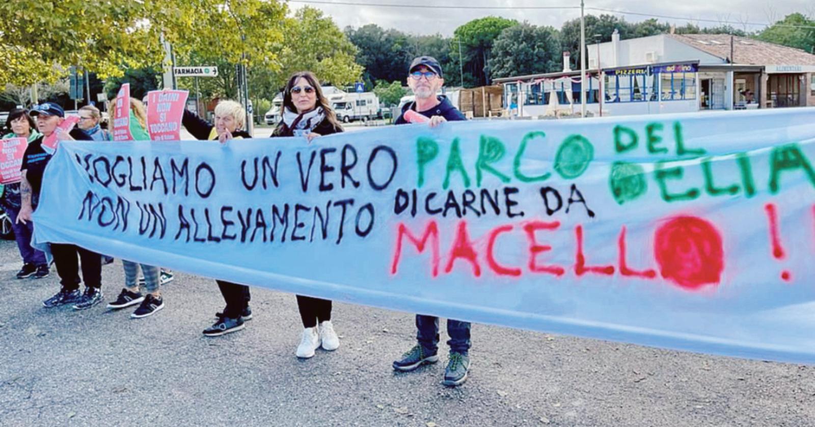 “Macellare i daini? Una follia”