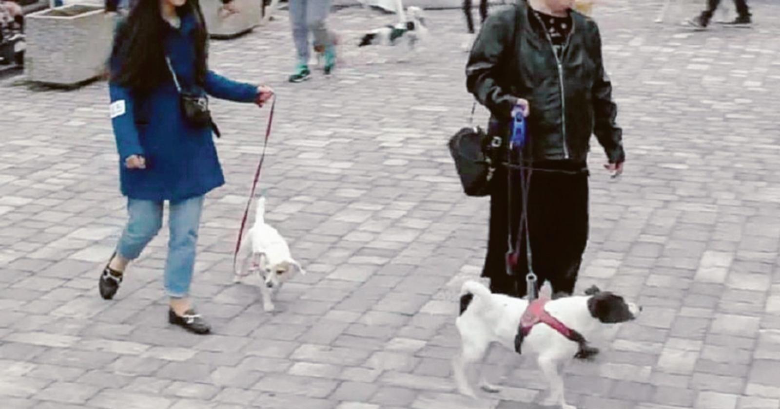 E' la grande festa dei nostri amici