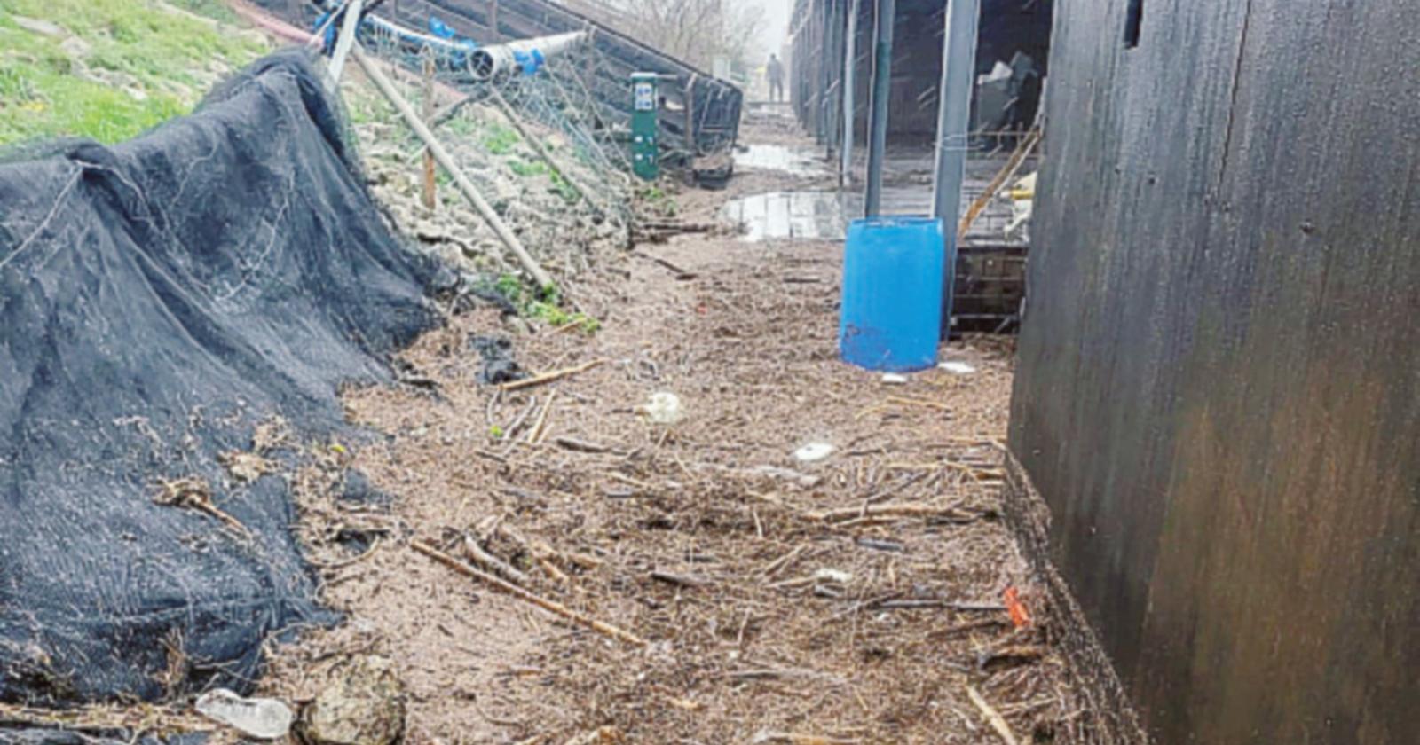 Spiagge distrutte ed orti di vongole sepolti