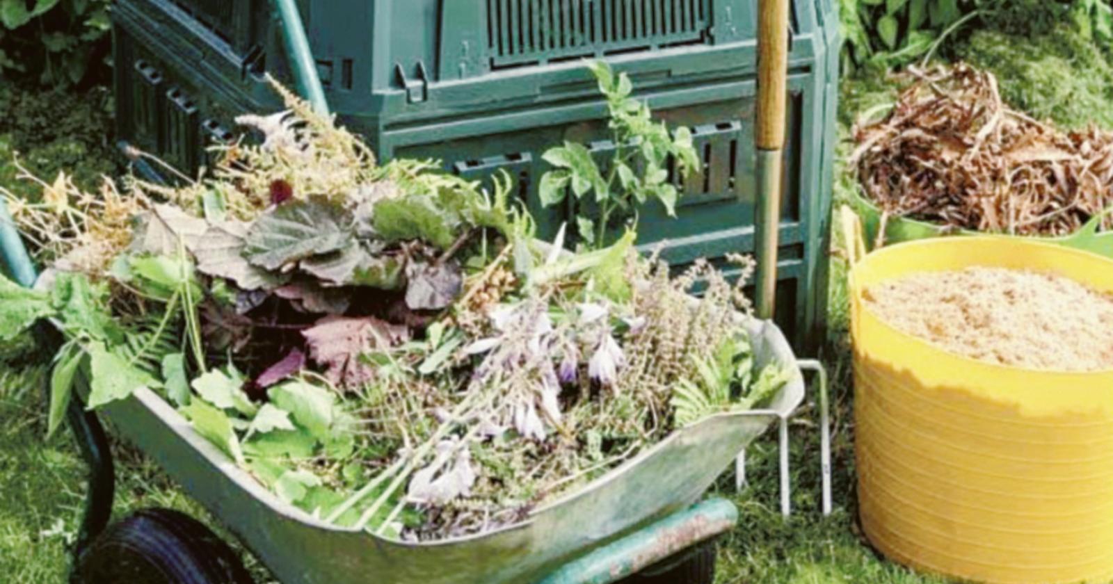 Raccolta del verde, cambia tutto