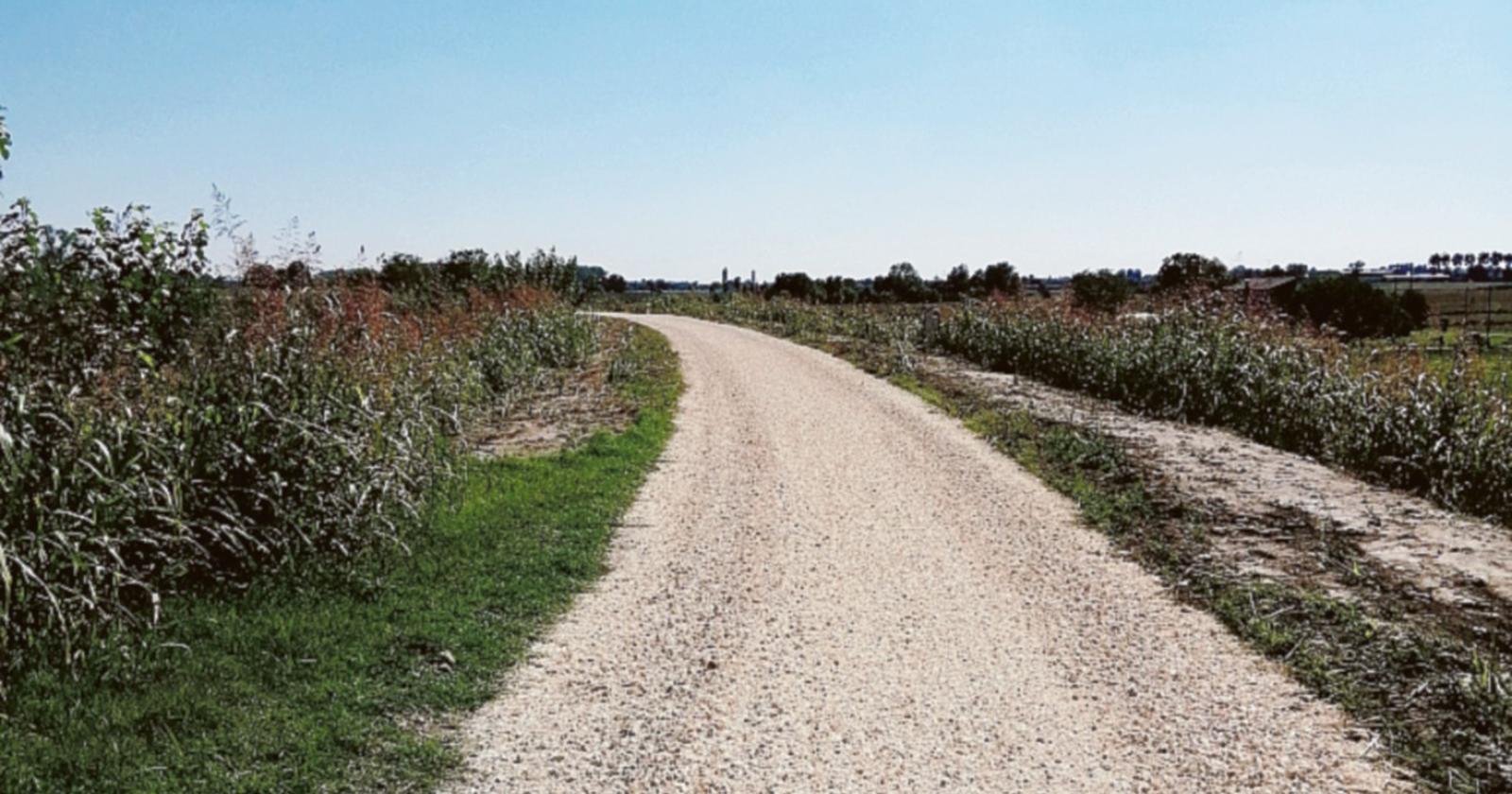 Destra Adige, lavori quasi ultimati