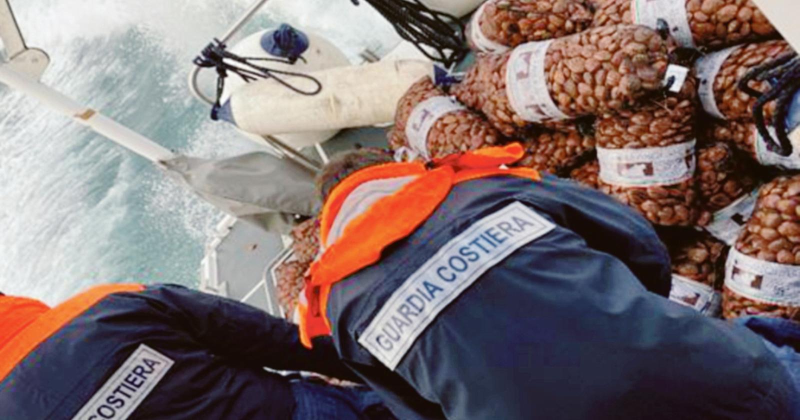 Maxi sequestro di vongole e fasolari