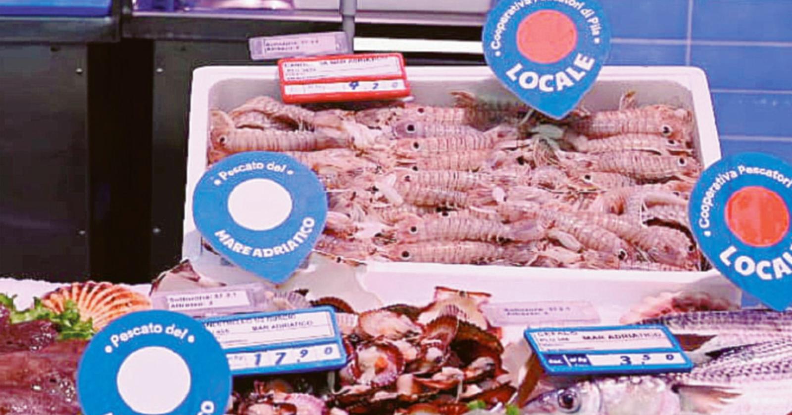 Il nostro pesce sarà valorizzato dalla Coop!