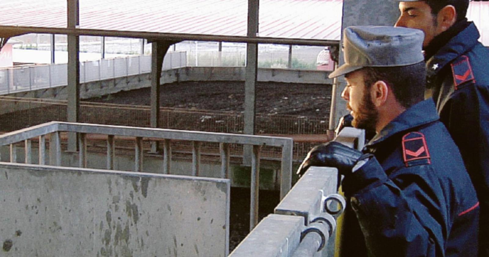 Caso Coimpo: arriva il risarcimento