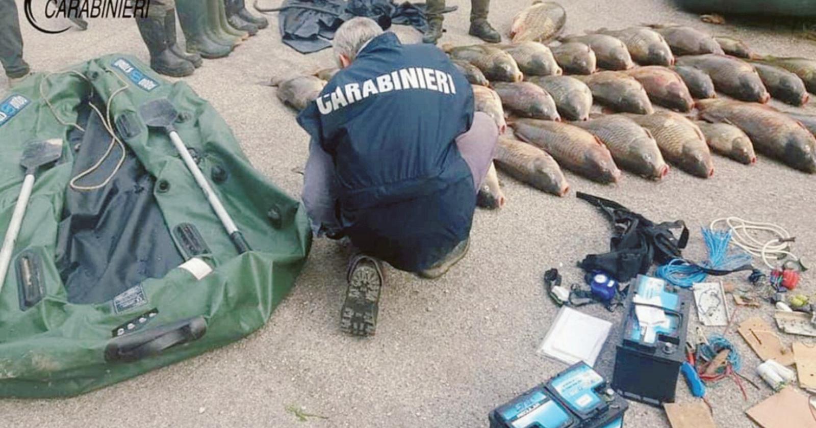 Bracconaggio ittico, adesso basta!
