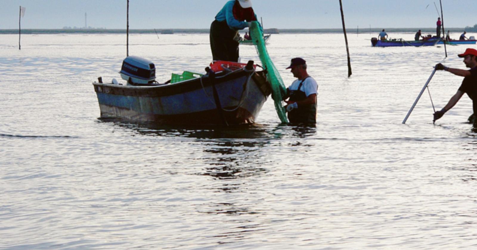La pesca cerca persone da assumere