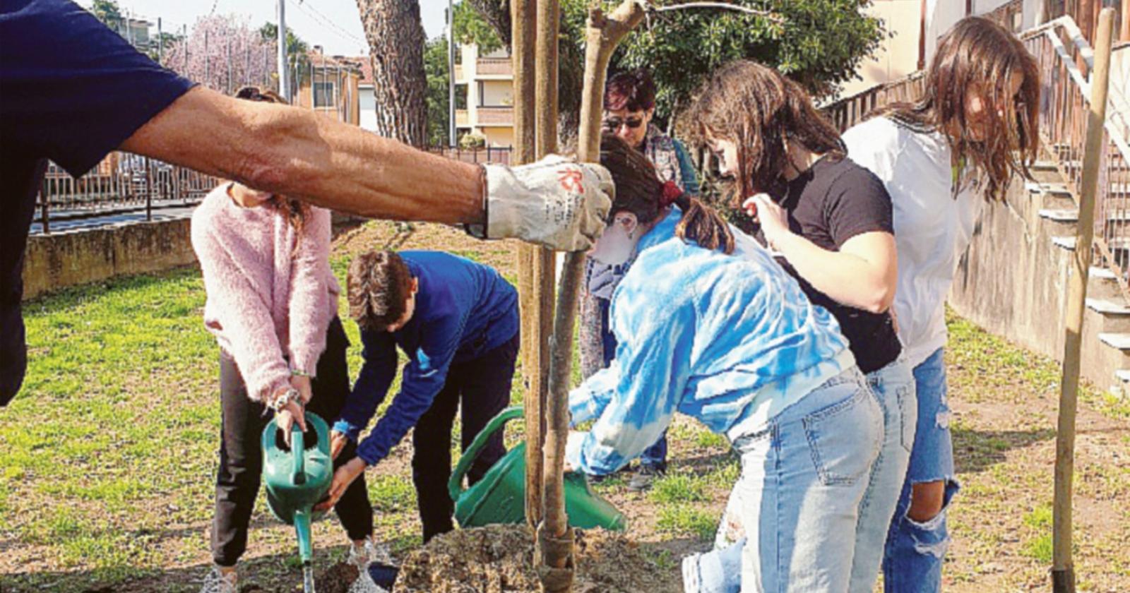 Linea verde: i giovani piantano nuovi alberi