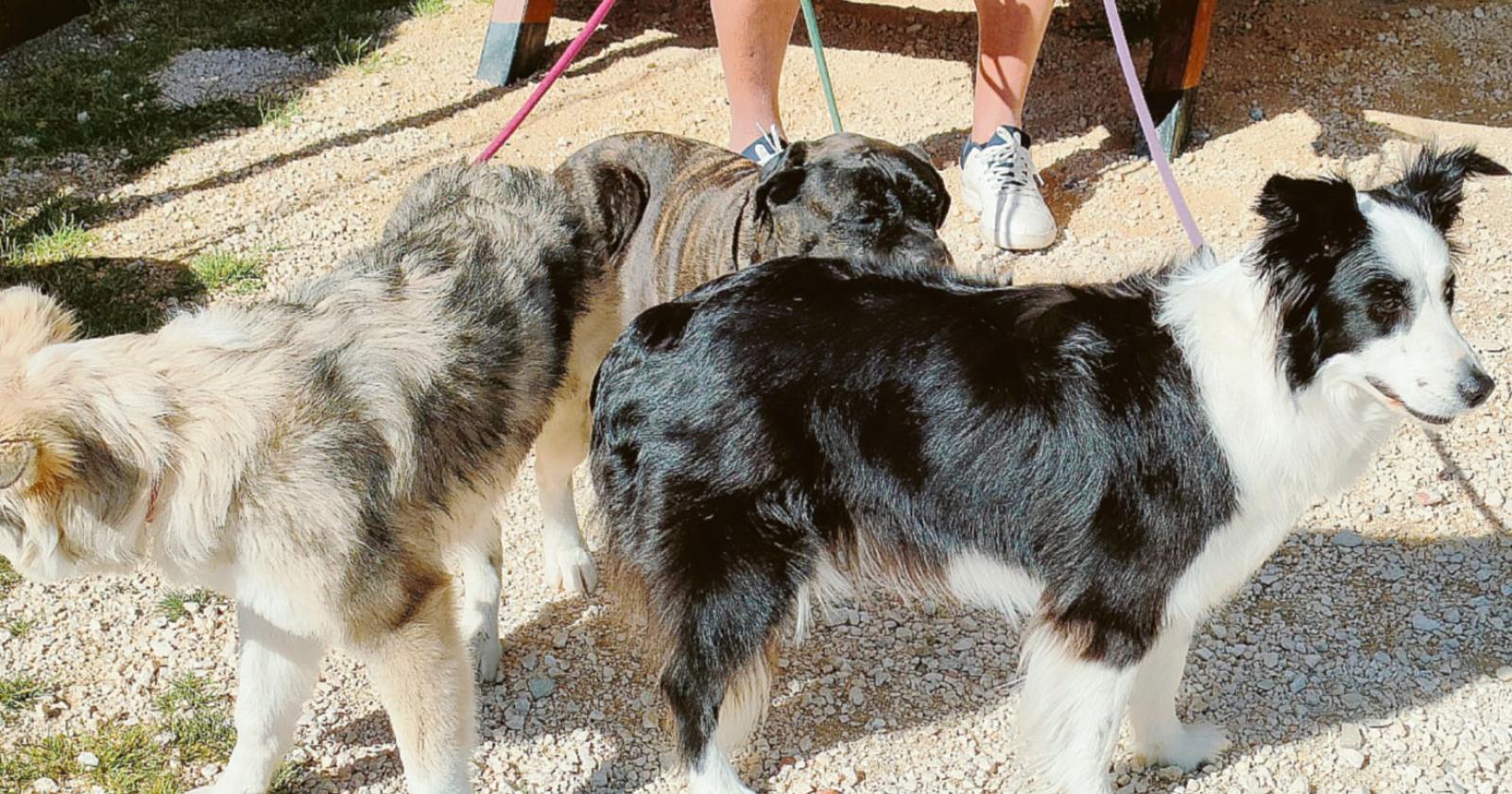 Una vera giornata tutta per loro