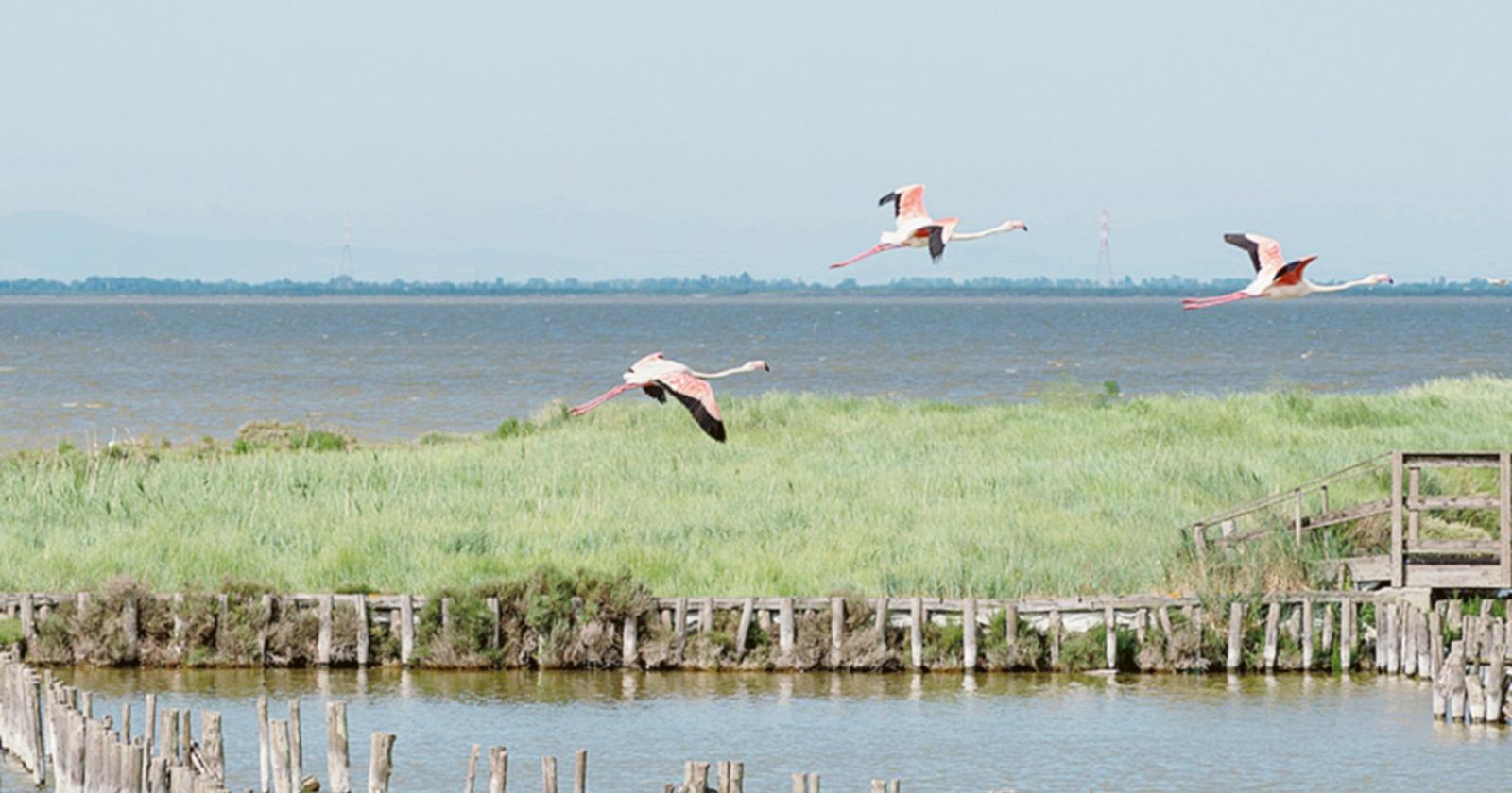 Escursioni tra natura e territorio