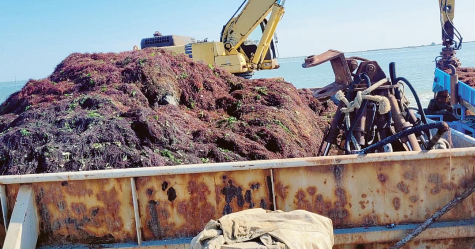 “Pesca del futuro da difendere”