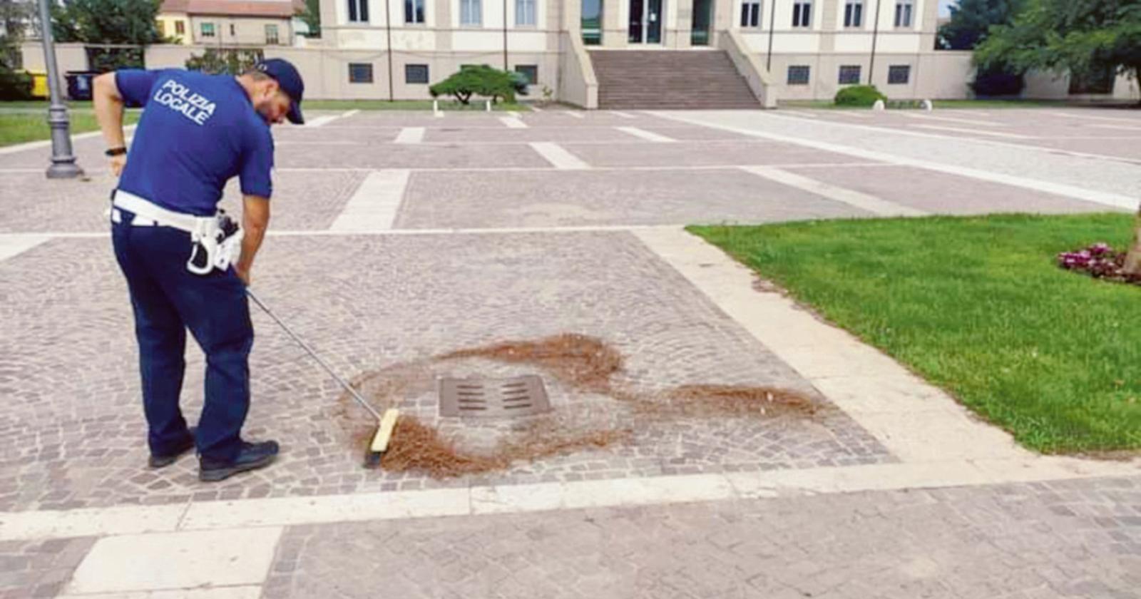 1300 caditoie rimesse a nuovo