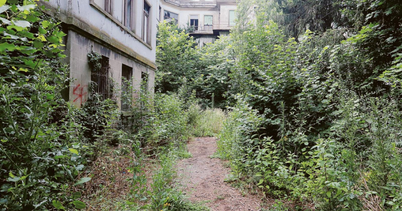 La Commenda non vuole altro degrado