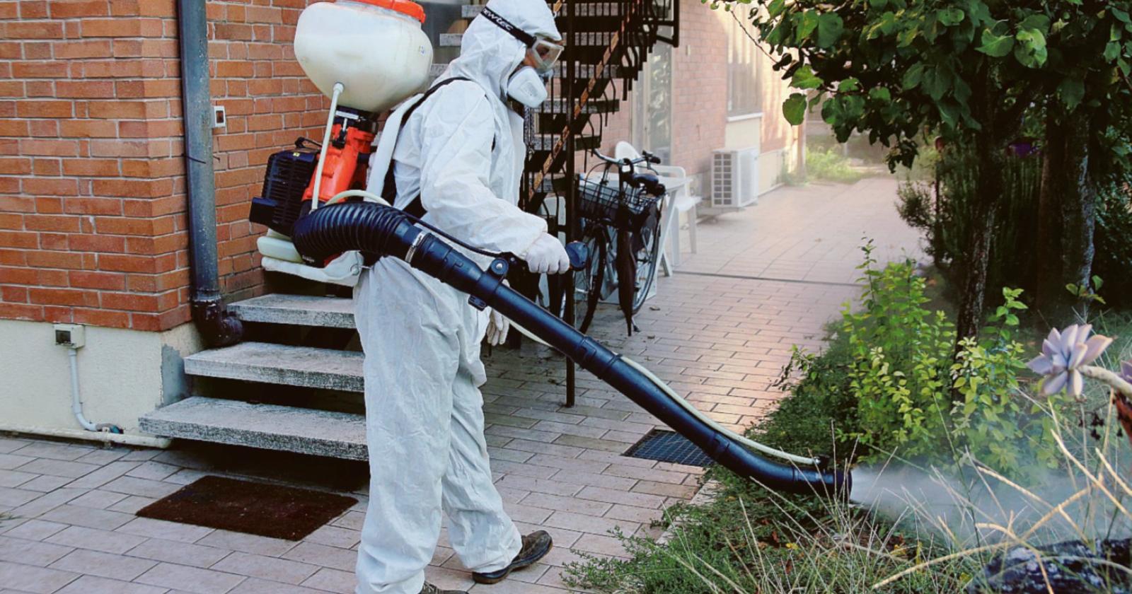 Dengue, rischio contagio azzerato