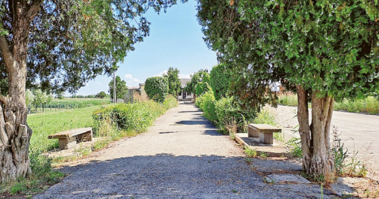 "Cimitero nel degrado, intervenite!"