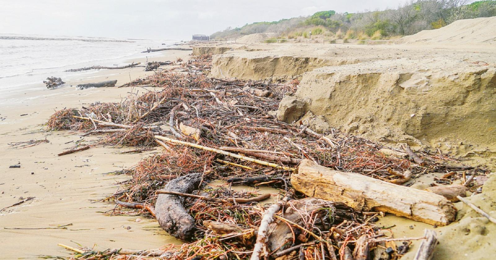 Mangiati 40 centimetri di spiaggia