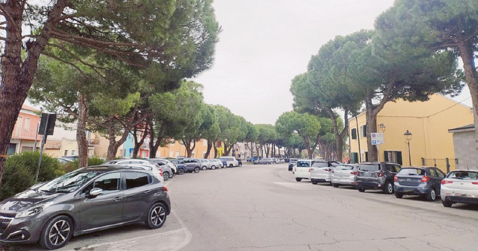Avanti col taglio dei 62 pini