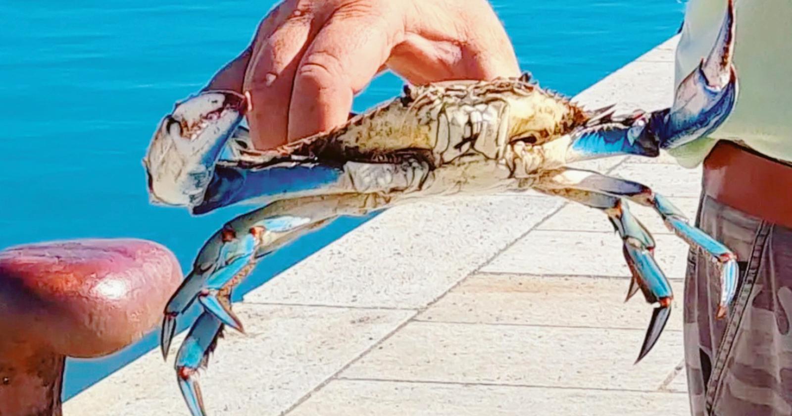 “Non è arrivato un centesimo, situazione esplosiva”